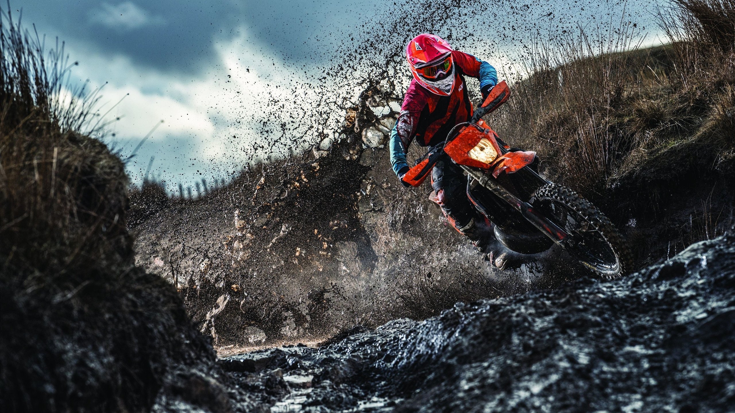 城市公园越野赛 泥泞林道成为大众跑者新宠